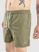 O'Neill Vert 16 Boardshorts grøn