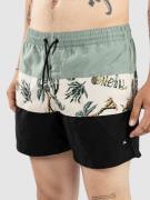 O'Neill Mix & Match Cali Block 15'' Boardshorts