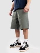 Iriedaily Nanolo Shorts grøn