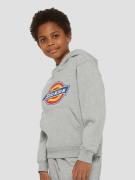 Dickies Logo Kids Hættetrøje grå