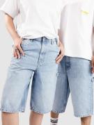 Solid SDTOMMY Carpenter Shorts blå