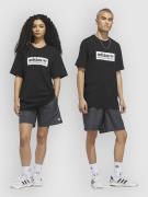 adidas Skateboarding Skt WTR Boardshorts grå