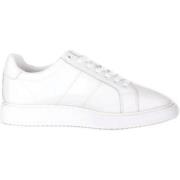 Angeline Sneaker