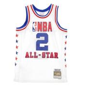 NBA Swingman Jersey Malone 1985