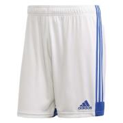 Tastigo 19 Shorts