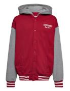 Kids Boys Sweatshirts Bomberjakke Red Abercrombie & Fitch