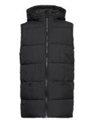 Hooded Quilted Vest Foret Vest Black Tom Tailor