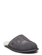 M Scuff Slippers Hjemmesko Grey UGG