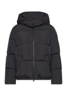 Short Down Jacket Foret Jakke Black GANT