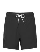 Hco. Guys Swim Badeshorts Black Hollister