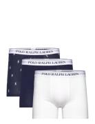 Stretch Cotton Boxer Brief 3-Pack Boxershorts Navy Polo Ralph Lauren U...