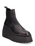 Pegasus Bootie Shoes Chelsea Boots Black Steve Madden