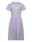 Dress Ss Pointelle Dresses & Skirts Dresses Casual Dresses Short-sleev...