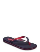 Bolt Pony Flip-Flop Klipklapper Sandaler Blue Polo Ralph Lauren