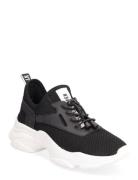 Match-E Sneaker Low-top Sneakers Black Steve Madden