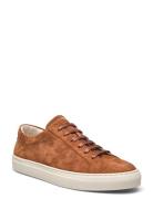 Jermain Suede Sneaker Low-top Sneakers Brown Polo Ralph Lauren