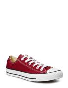 Chuck Taylor All Star Seasonal Sport Sneakers Low-top Sneakers Burgund...