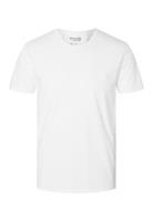 Slhnewpima Ss O-Neck Tee Noos Tops T-Kortærmet Skjorte White Selected ...