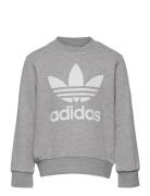 Trefoil Crew Tops Sweatshirts & Hoodies Sweatshirts Grey Adidas Origin...