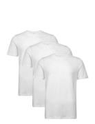 Bless 3 Pack Designers T-Kortærmet Skjorte White Reiss