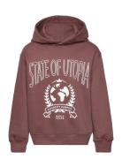 Tnhenrik Os Hoodie Tops Sweatshirts & Hoodies Hoodies Brown The New