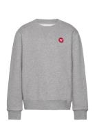 Rod Junior Sweatshirt Gots Tops Sweatshirts & Hoodies Sweatshirts Grey...