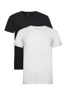 C-Neck T-Shirt 2-Pack Tops T-Kortærmet Skjorte Multi/patterned GANT