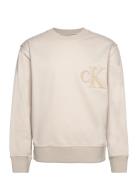 Ck Chenille Crew Neck Tops Sweatshirts & Hoodies Sweatshirts Cream Cal...