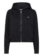 Oakport Zip Hoodie Tops Sweatshirts & Hoodies Hoodies Black Dickies