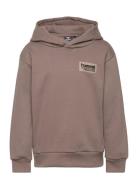 Hmldare Hoodie Sport Sweatshirts & Hoodies Hoodies Brown Hummel