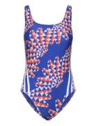 Farm 3S Clx St Sport Swimsuits Blue Adidas Sportswear