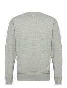 Sdlenz Crew Sw Tops Sweatshirts & Hoodies Sweatshirts Grey Solid