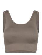 Soft Rib Seamless Crop Top Sport Bras & Tops Sports Bras - All Brown M...