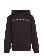 Essential Hoodie Tops Sweatshirts & Hoodies Hoodies Black Tommy Hilfig...