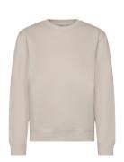 Centre Crew Sport Sweatshirts & Hoodies Sweatshirts Beige Björn Borg