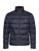 Balto2241 Foret Jakke Navy HUGO