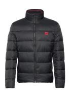 Balto2241 Foret Jakke Black HUGO