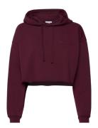 Pro Cropped Sweat Hoodie Tops Sweatshirts & Hoodies Hoodies Burgundy H...