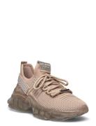 Maxilla-R Sneaker Low-top Sneakers Beige Steve Madden