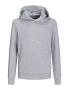 Jjebradley Sweat Hood Noos Jnr Tops Sweatshirts & Hoodies Hoodies Grey...