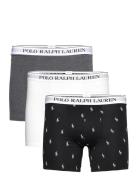 Bci Cotton/Elastane-3Pk-Bxb Boxershorts Black Polo Ralph Lauren Underw...