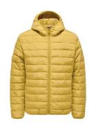 Onsbron Hood Quilt Jacket Otw Vd Foret Jakke Yellow ONLY & SONS