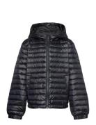 Shiny Light Padded Down Jacket Foret Jakke Black GANT