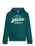 Jjelogo Sweat Hood 2 Col 24/25 Noos Mni Tops Sweatshirts & Hoodies Hoo...