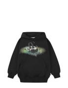 Maxx Tops Sweatshirts & Hoodies Hoodies Black Molo