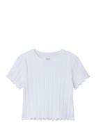 Nkfnoralina Ss Crop Top Noos Tops T-Kortærmet Skjorte White Name It