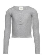 T-Shirt Long-Sleeve Tops T-shirts Long-sleeved T-Skjorte Grey Sofie Sc...