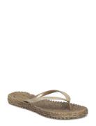 Flip-Flops Shoes Summer Shoes Sandals Flip Flops Brown Ilse Jacobsen