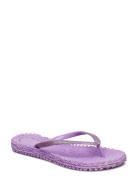 Flip Flop With Glitter Shoes Summer Shoes Sandals Flip Flops Purple Il...