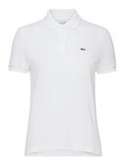 Polos Tops T-shirts & Tops Polos White Lacoste